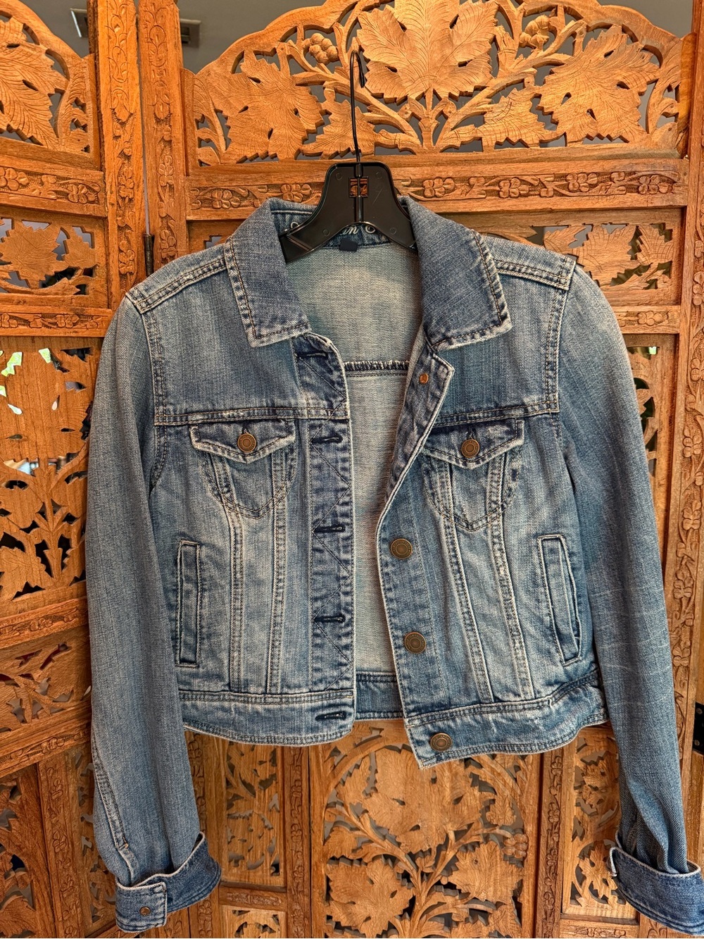 American Eagle Outfitters Light Blue Denim Jean Jacket